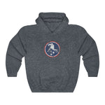 DISTRESSED USA BADGE HOODIE